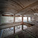 Peter Kidd Photo 17