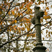 William Corcoran Photo 44