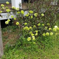 Judith Adams Photo 20