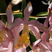 Margie Bell Photo 22