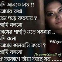 Mehedi Hassan Photo 18