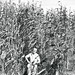 Raymond Fields Photo 18