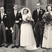 Susan Hobbs Photo 40
