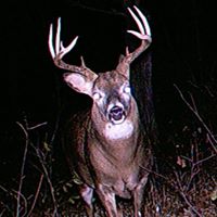 Jared Schafer Photo 11