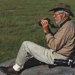 Richard Estes Photo 32