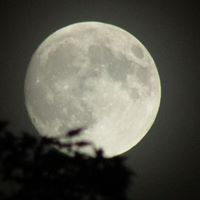 Michael Swan Photo 32