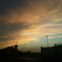 Steven Bunner Photo 5