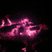 Rex Burns Photo 9