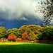 Dawn Hedges Photo 13
