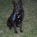 Rick Shepherd Photo 11