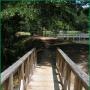 Tricia Ray Photo 21