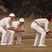 Steve Cooke Photo 24