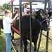 Trevor Lyons Photo 35