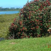 Irene Roberts Photo 42