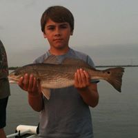 Ross Hooper Photo 4