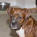 Charlie Ponder Photo 11