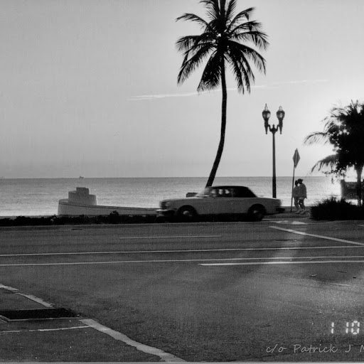 Patrick Mattson Photo 11