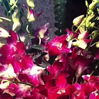 Cathy Ford Photo 5