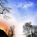 Jacob Varghese Photo 42