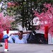 Calvin Green Photo 33