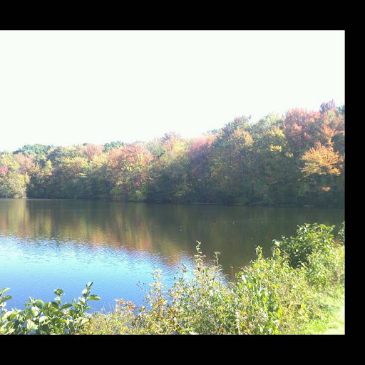 Angel Alicea Photo 46