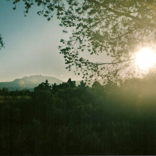 Michelle Vilchis Photo 4
