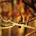 Eric Erb Photo 7