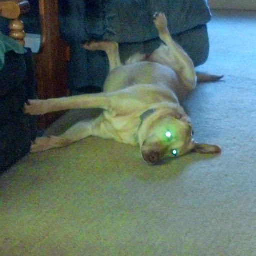 Rankin Darby Photo 6