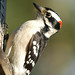 Suzanne Bird Photo 20