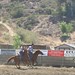 Deb Vaughn Photo 17