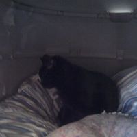 Shawn Driver Photo 8