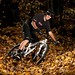 Paul Howard Photo 38