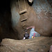 Tony Goins Photo 22