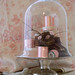 Dorothy Stone Photo 1