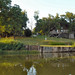 Dianne Turner Photo 28