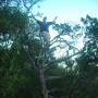 Gregory Hunt Photo 37