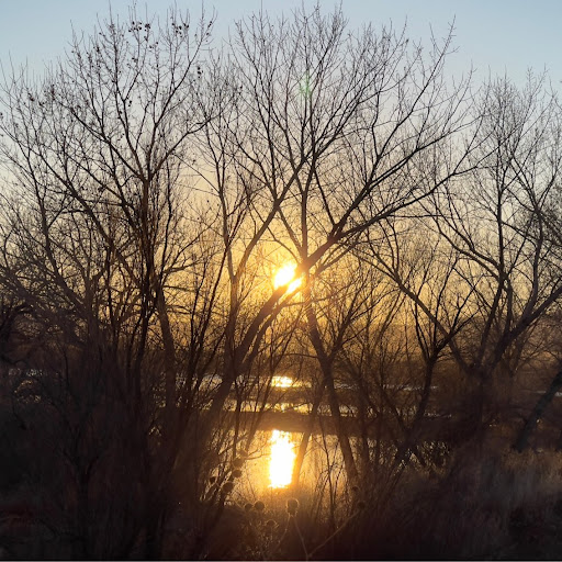 Forrest Evans Photo 28