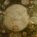 Daniel Conran Photo 6