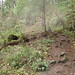 Victoria Douglas Photo 16