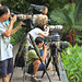 Harold Samples Photo 12