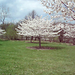 John Nagy Photo 17