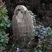 Thomas Wharton Photo 8