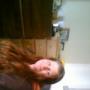 Robin Fairchild Photo 16