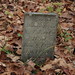Mary Shultz Photo 16