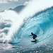 Edward Borges Photo 18