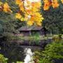 Lisa Shank Photo 29