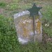 William Kennard Photo 30