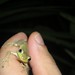 Mark Basham Photo 9