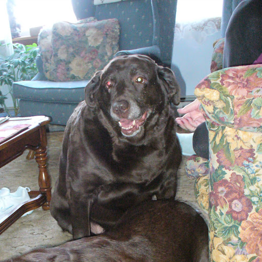 Linda Hendrickson Photo 33