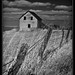 Franklin Stone Photo 10